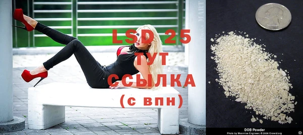 винт Майский